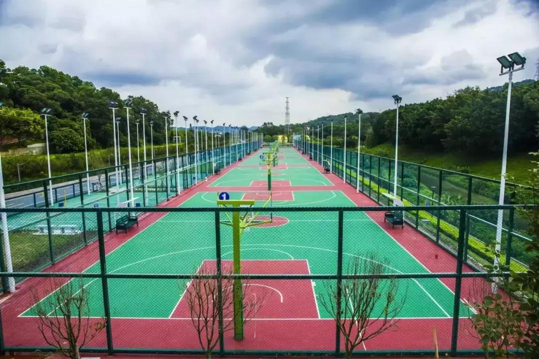 春日赏花深圳,深圳春游赏花