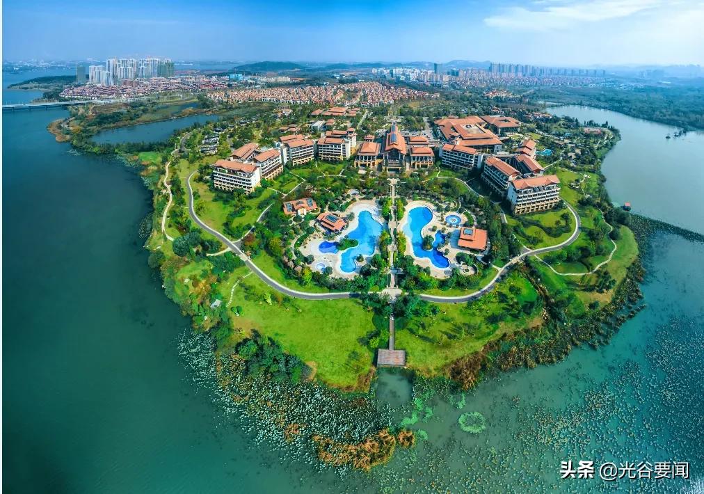 光谷有特色的酒店,武汉光谷结婚酒店推荐