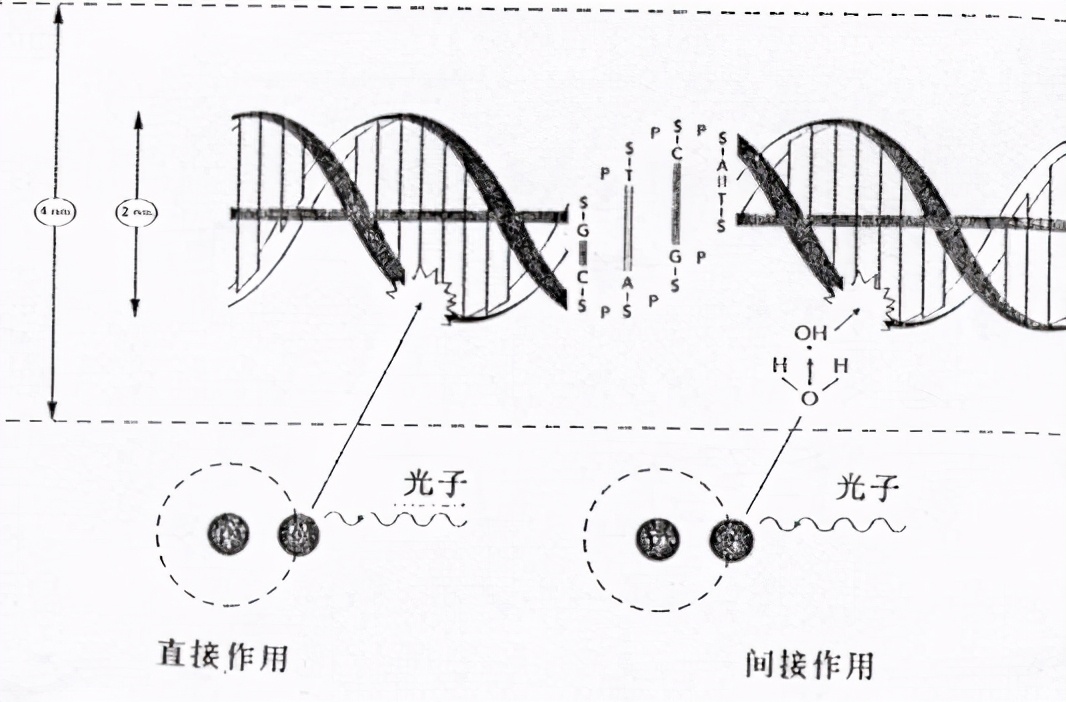 房屋装修用大量大理石会得什么病,装修用大量大理石会造成什么污染