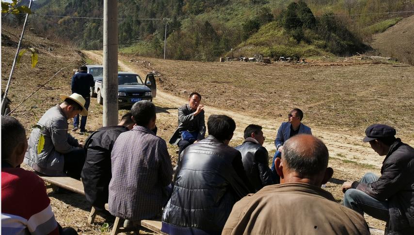 重庆市城口县鸡鸣乡金岩村,鸡鸣乡金岩村最新规划