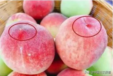 一桃难求！水蜜桃还可以吸着吃？一只能卖80元