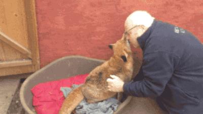 15岁怀孕，她被骗吃下*药炸**，一尸两命：有些人，这辈子不配为人