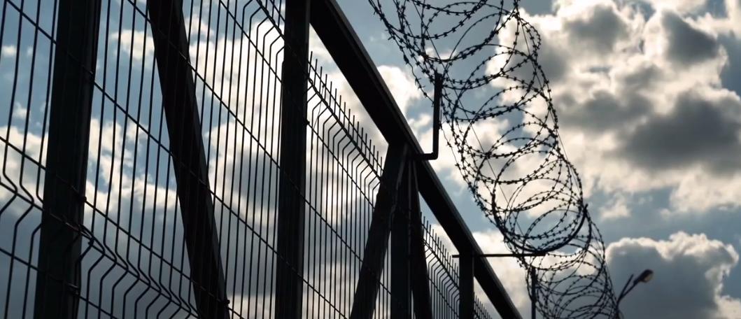 脑细胞植入术,大脑植入技术有什么用