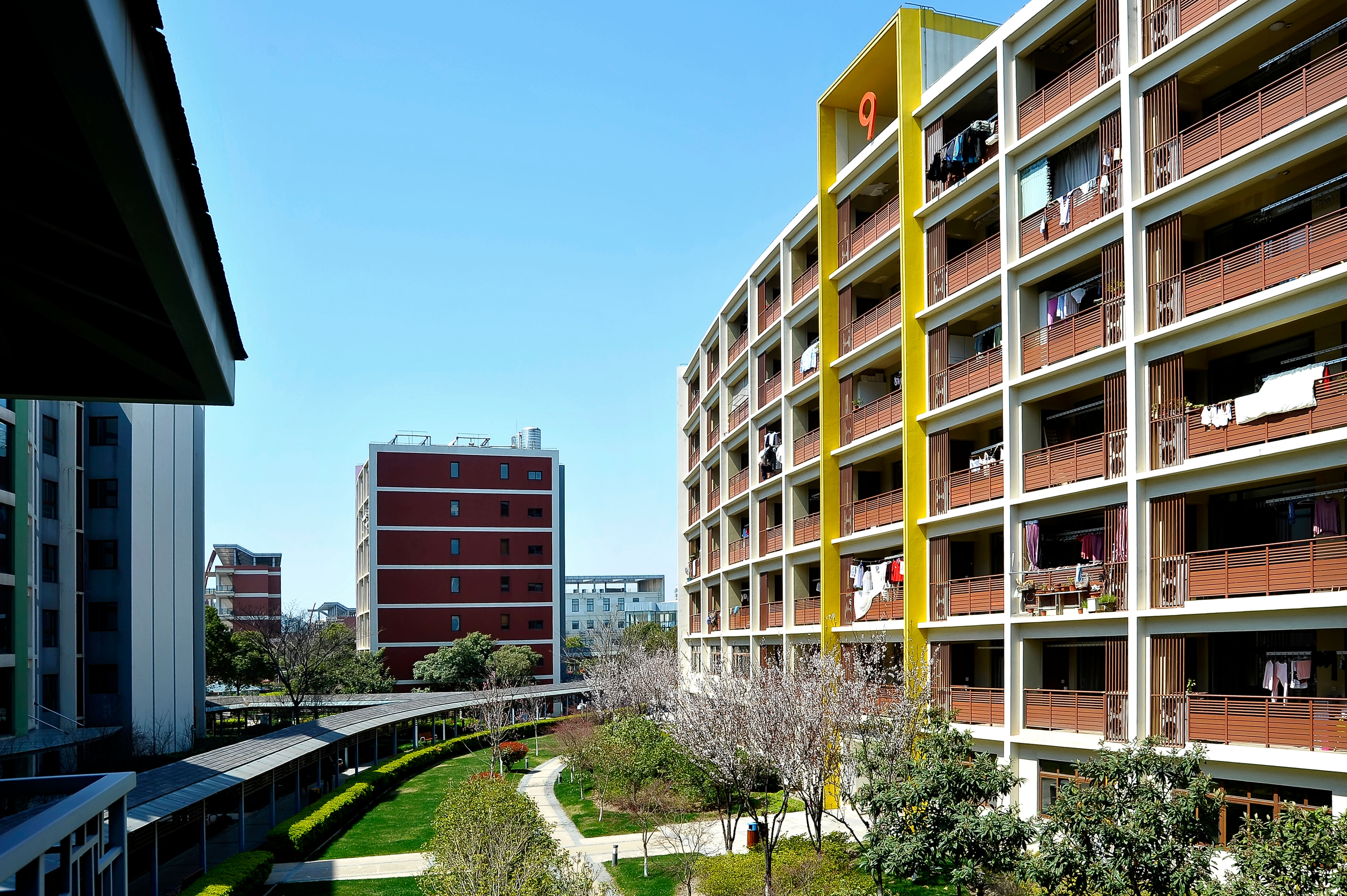 我眼中的师生关系,我眼中的仁爱