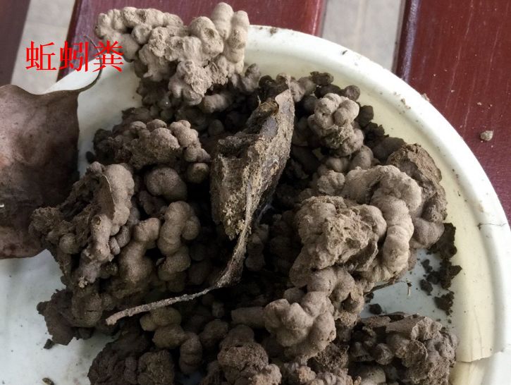 这6种碎渣渣，养花当土又当肥，比激素还有劲儿