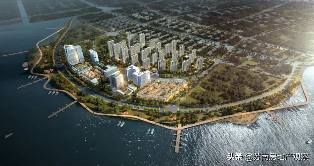 买花港,就是一场博弈