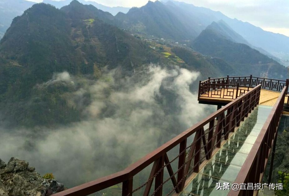 五峰凤凰山避暑胜地,五峰最佳避暑海拔是多少米