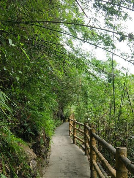 彭水阿依河旅游路线,重庆彭水阿依河漂流双人行攻略