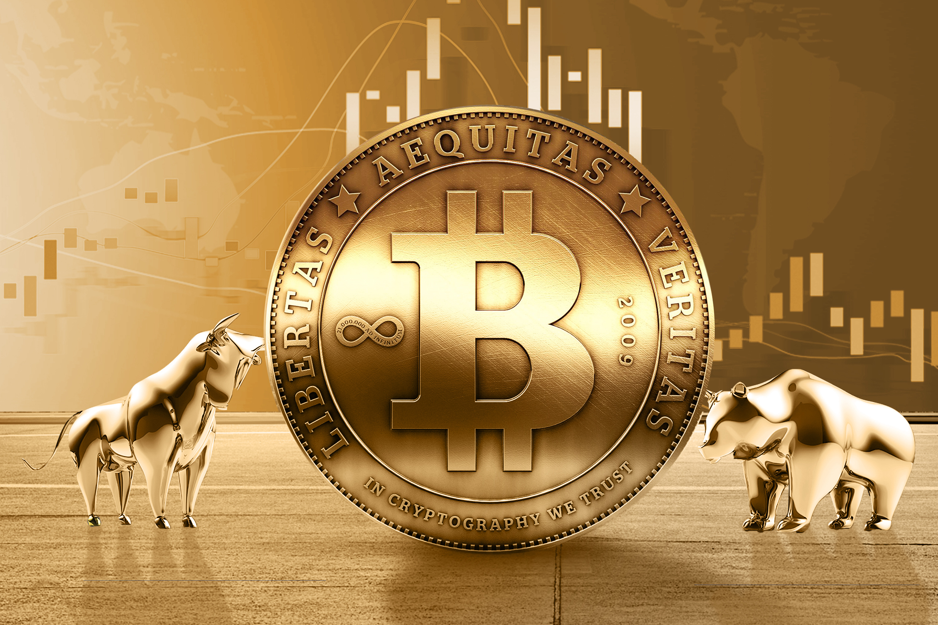 智赢股票的组合策略,智赢股票的投资策略