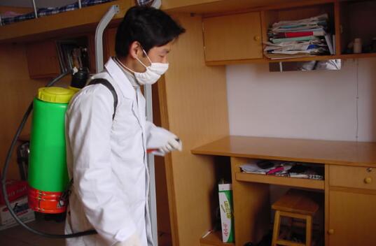 跳蚤和虱子对人体有害吗,跳蚤对猫狗有什么影响