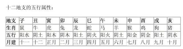 过冬神器你们都用什么取暖器啊,日本人的过冬神器