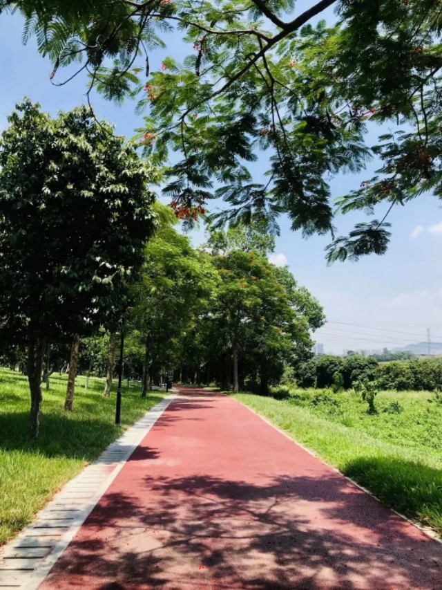 草长莺飞描写春天景色的七绝诗,暮春三月草长莺飞全诗