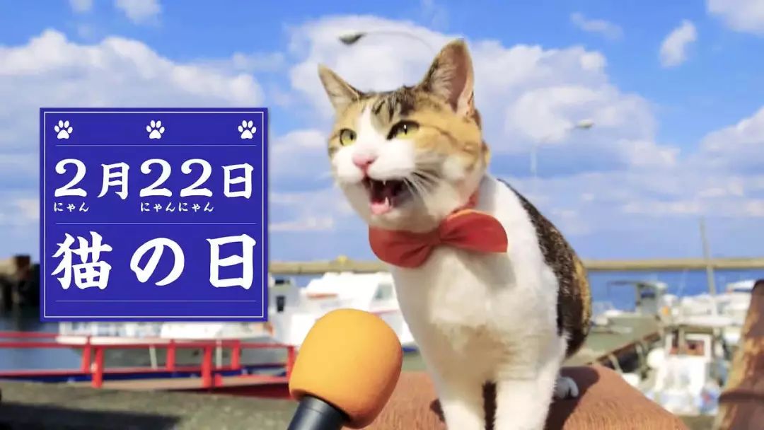 日本猫岛为什么有那么多猫,日本猫岛上为什么有这么多猫