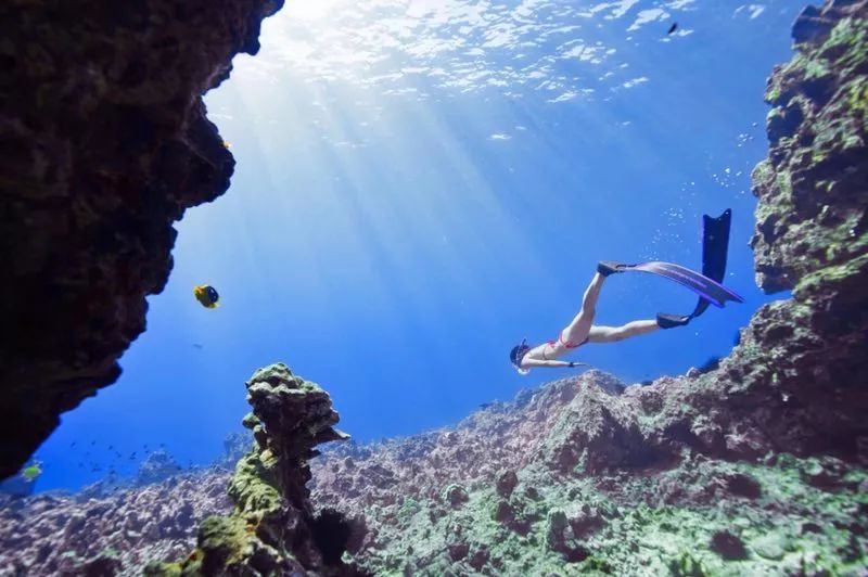 讲述宠物美容行业里拥有自己想要的人生