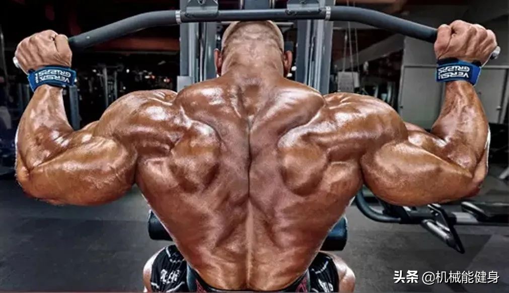 健身美背小背心一体式推荐,在健身房想练腿练哪些