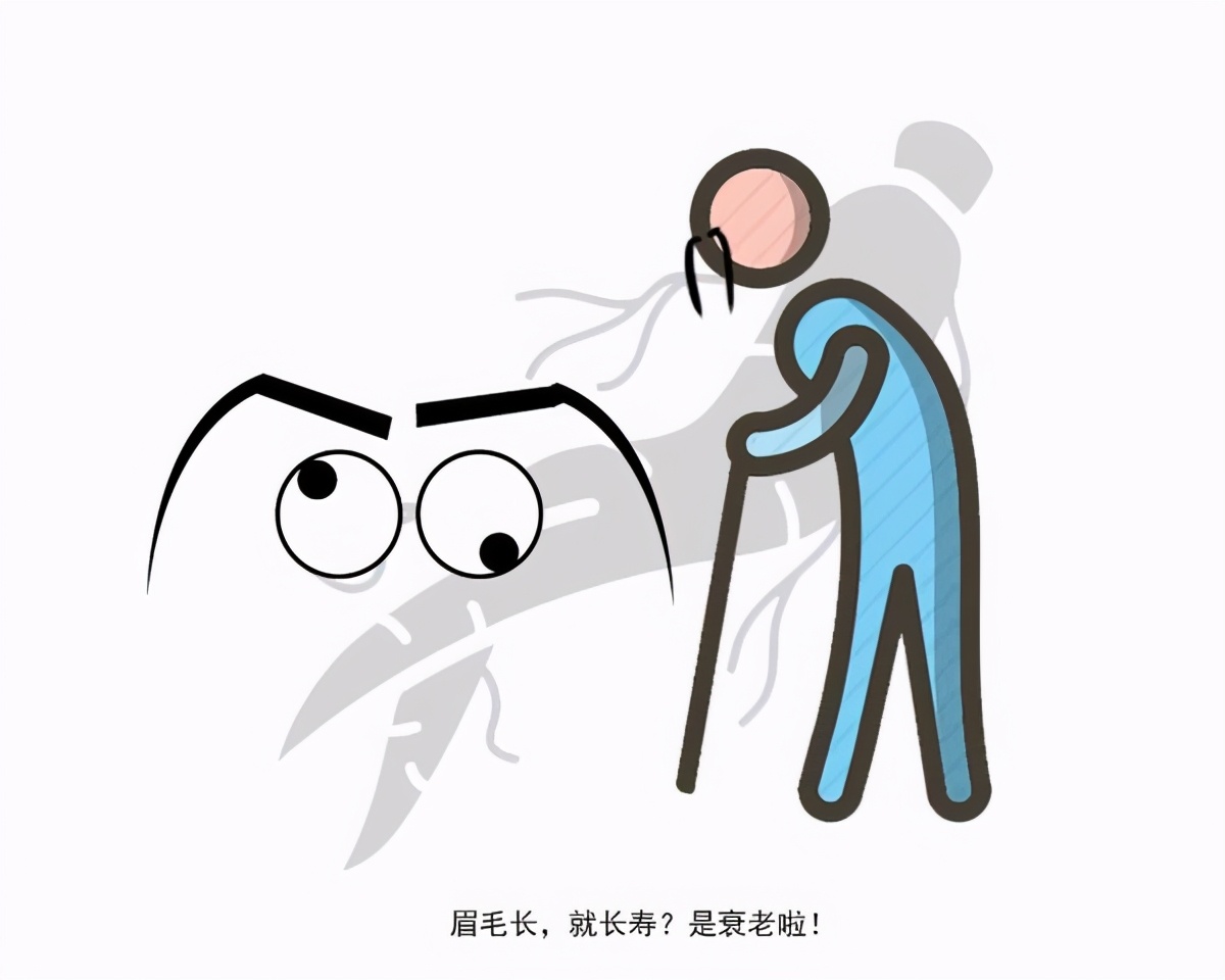 老年人补充蛋白质应该吃什么,老年人补充蛋白质最好有哪些办法