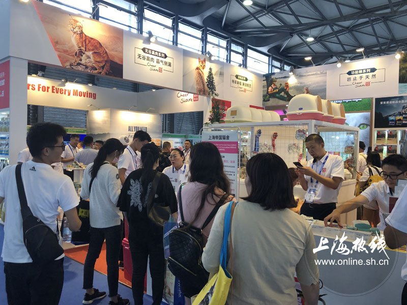 亚洲宠物展2022直播,亚洲宠物展会直播