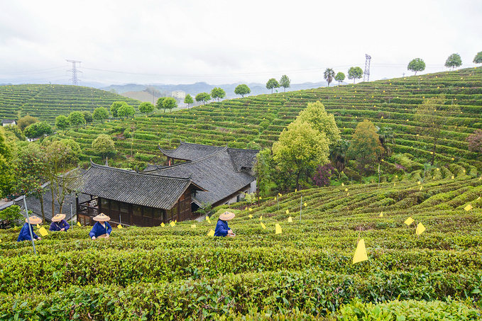 疫情对湖南这里居然丝毫没有影响！0病发，还超级适合徒步旅行！