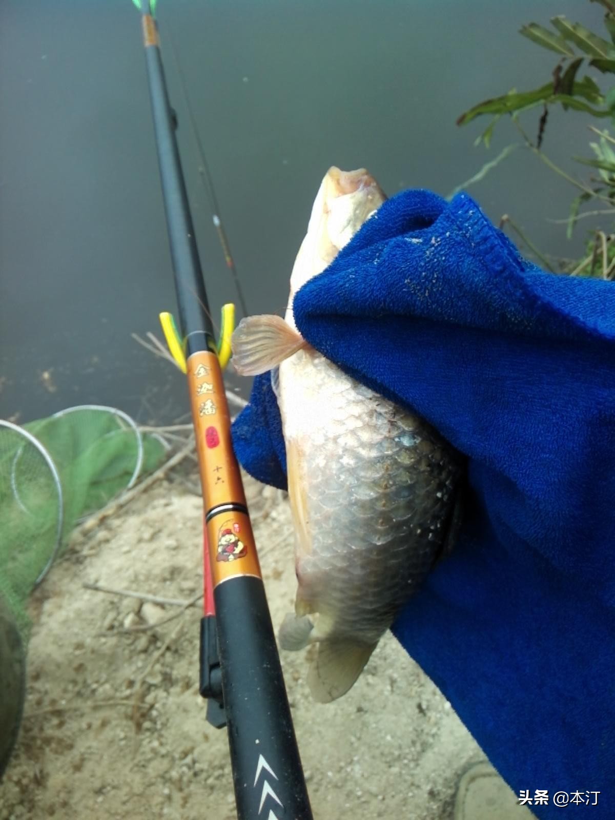 钓鱼怎么选择窝子,石窝钓鲤鱼钓法