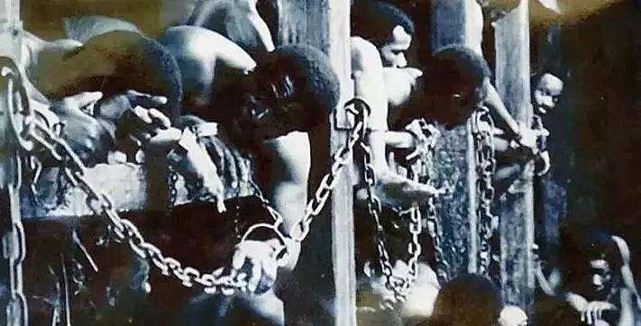 琛楃绮惧僵瑙嗛,琛楃424璁茶В