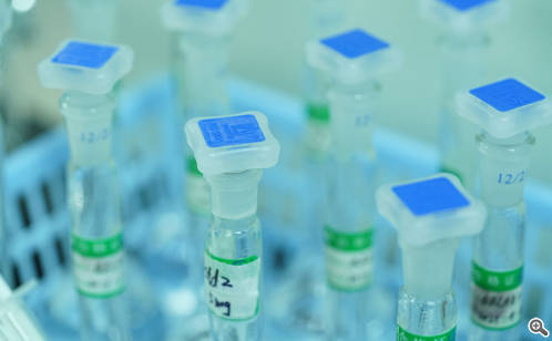 我国首款抗结直肠癌新药“园区造”全国68家药店已上市