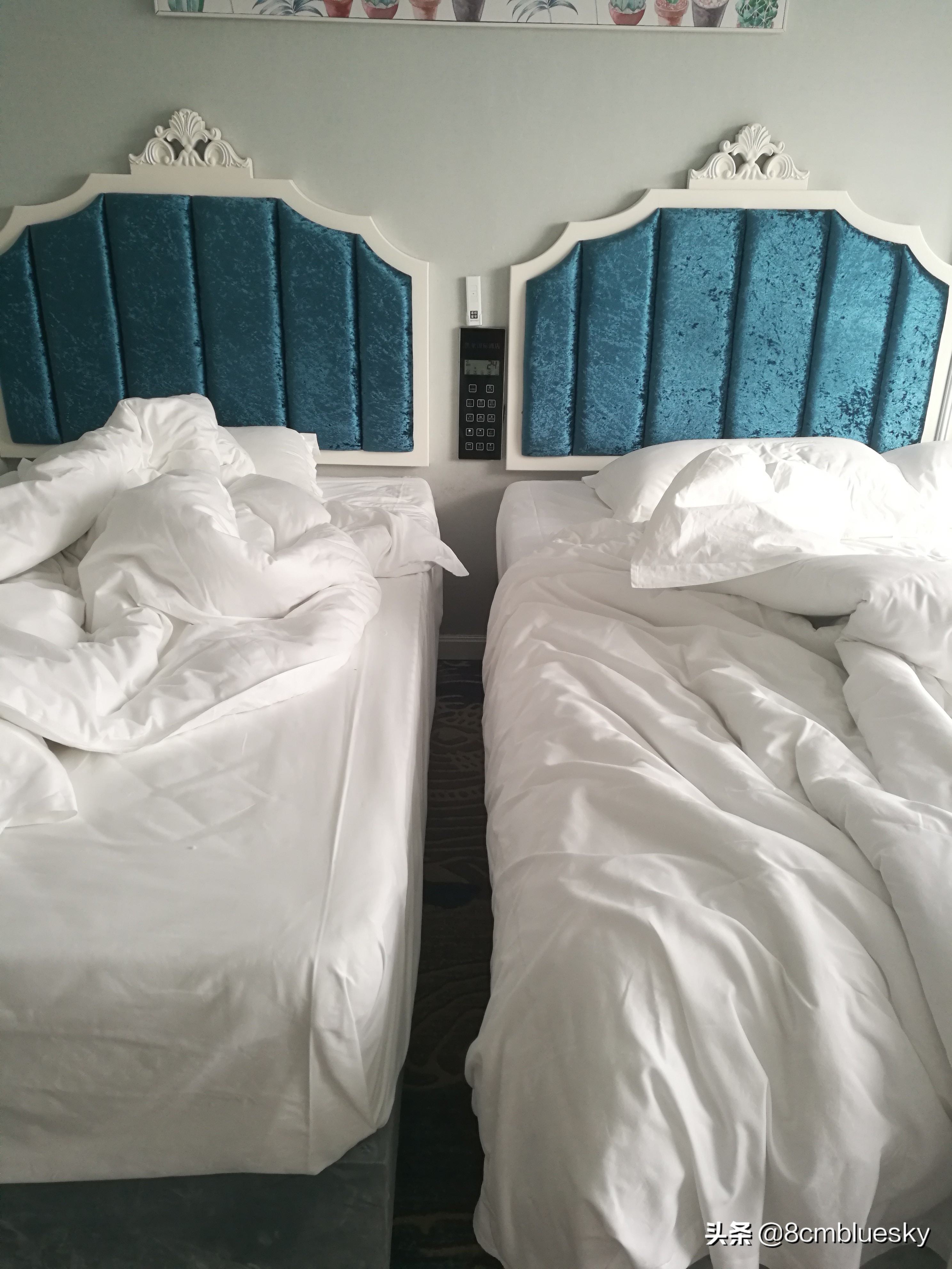 遂川县凯莱酒店大厅,遂川凯莱酒店视频