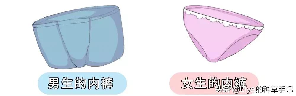 *裤内**湿黄有异味？洗错*裤内**比不洗还恶心！​