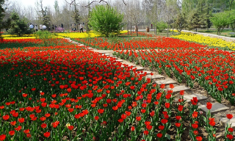 清凉夏日在兰州,清凉一夏兰州应该这样浪漫