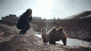 我们家涂们老爷子，牛！