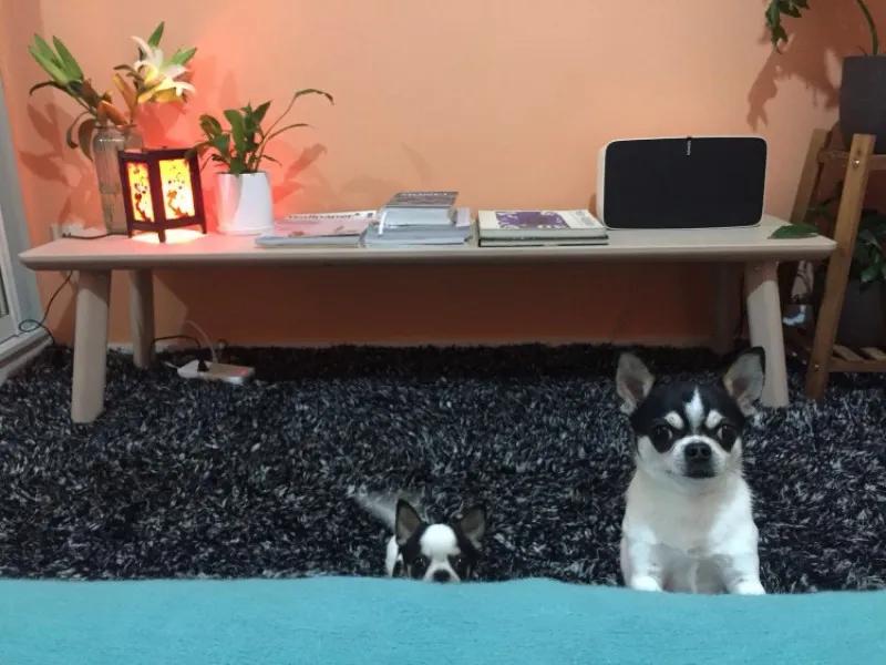 一直独居一直爽，我家长这样