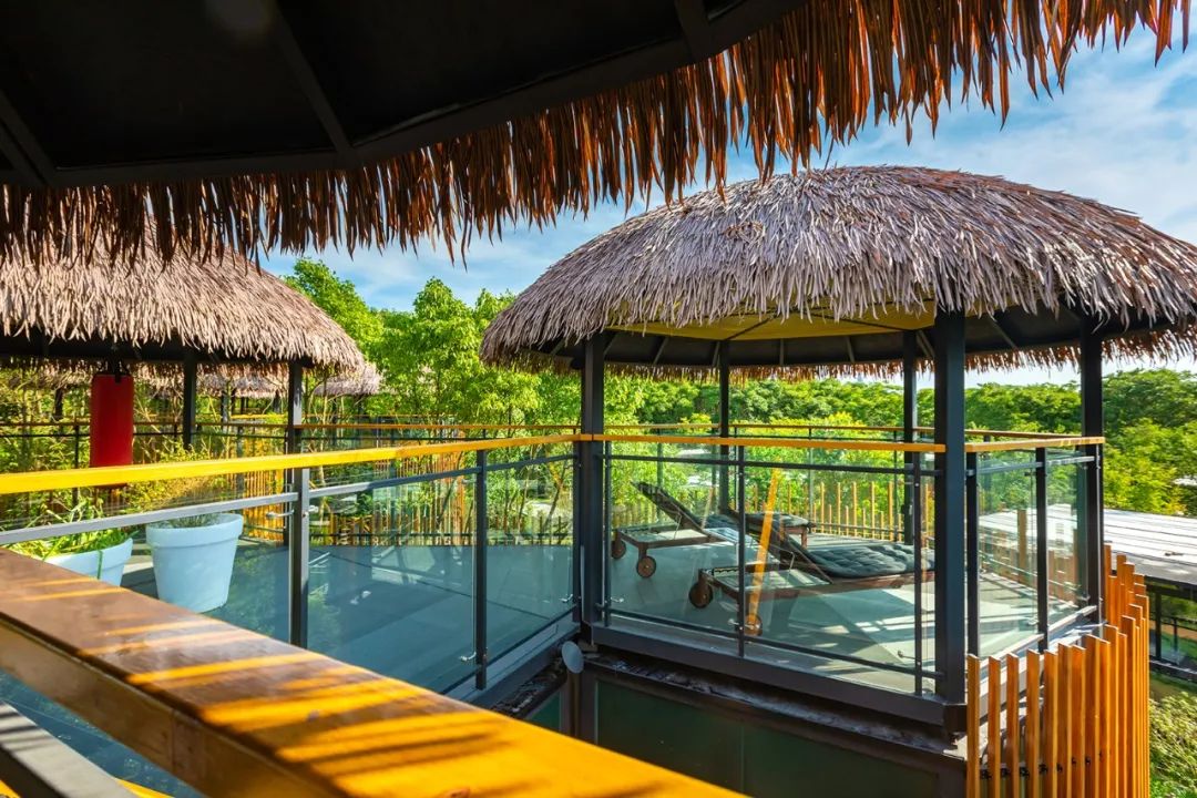 吸睛“鸟巢”上线！感受童话田园生活，来度假区这家露营地就对啦