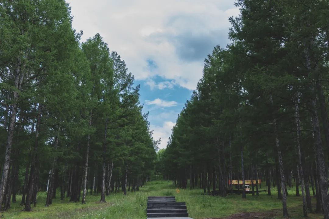 自驾三天呼伦贝尔大草原,自驾去呼伦贝尔草原七日游的攻略