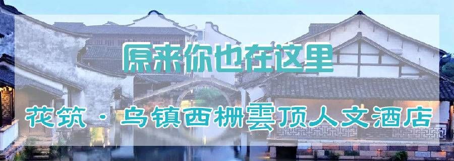 乌镇旅游民宿团购单人,乌镇民宿客栈80元左右