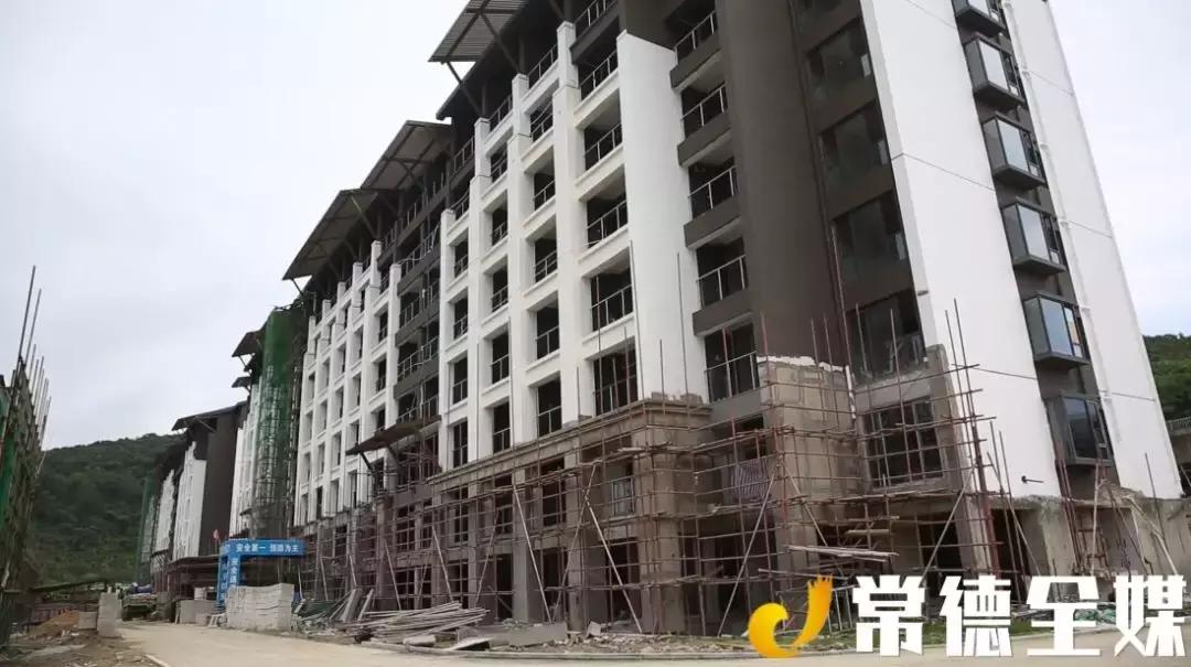 从打桩工做起的常德人，驰骋商界，引进海南第一匹汗血宝马