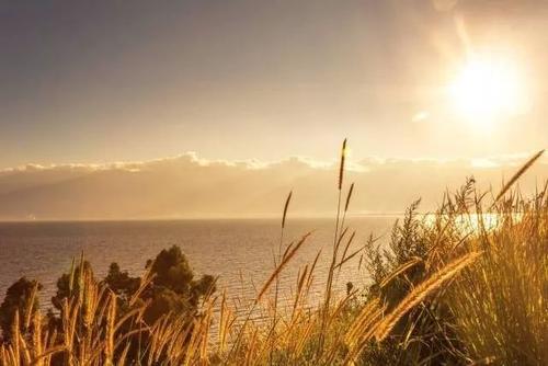 《假如爱有天意》一部爱情片让人看不腻的三个特点