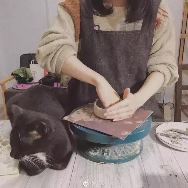 小央美的图片,小央美画作品欣赏