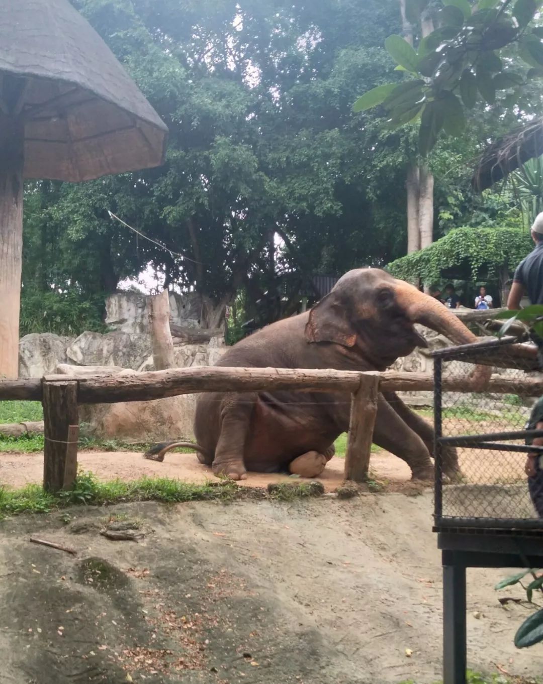 为什么现在好多人选择去泰国上学,为什么很多人选择去泰国