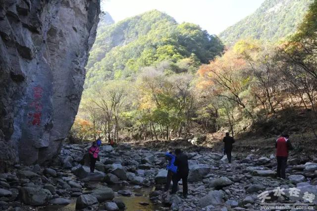甘肃麦积三岔镇,麦积区三岔镇风景