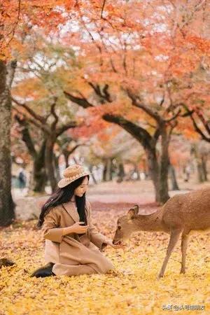 周杰伦说好一起去旅行,周杰伦说好不哭影响力