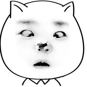 海南小黑虫咬人怎么防御,看到有小黑虫钻进伤口怎么办