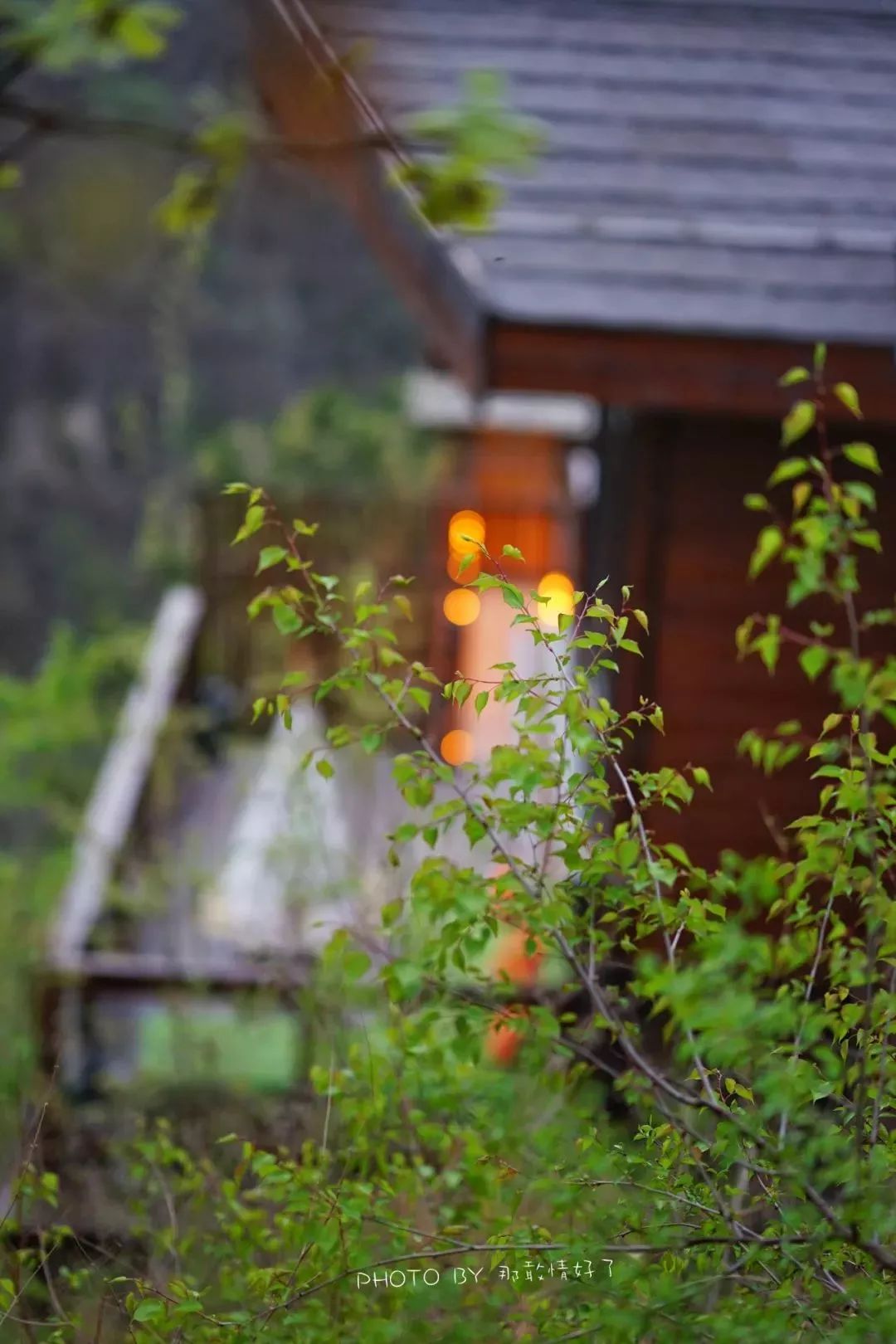 京郊童话树屋,京郊最美童话树屋
