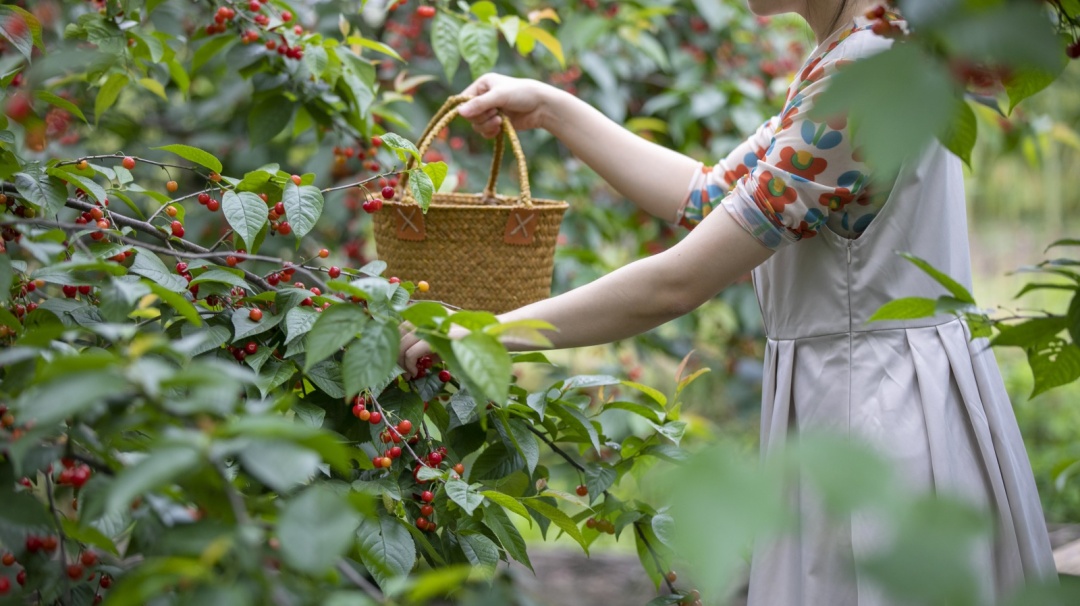 为什么一个人总想出去旅游,总想去旅游是怎么回事