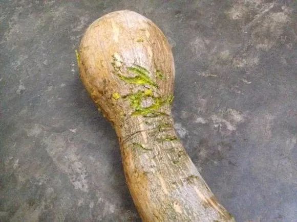 贵州用镰刀剃头的原始部落,偷南瓜是在哪里