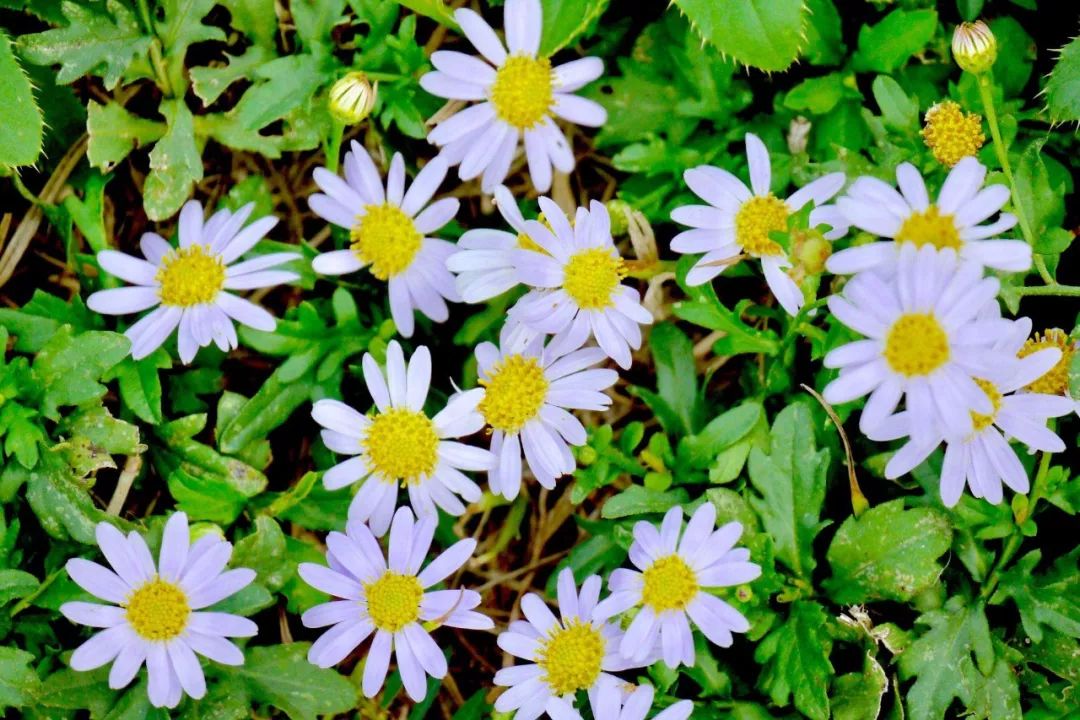 西安批发市场大全,西安最全批发市场地址