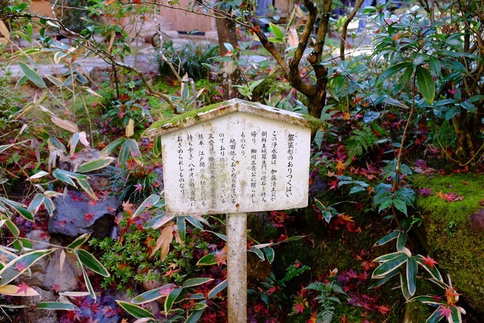 京都赏枫2022,京都赏枫必去景点有哪些好玩的