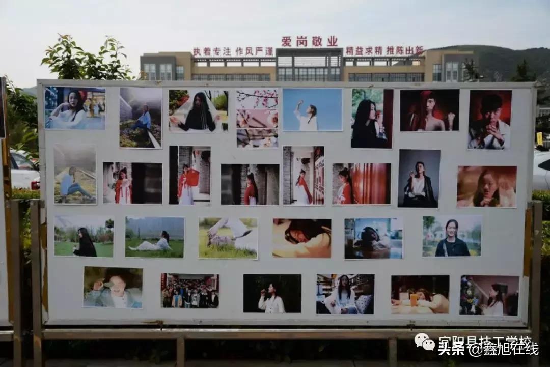 宜阳县职业教育中心节目,宜阳县职业教育直播