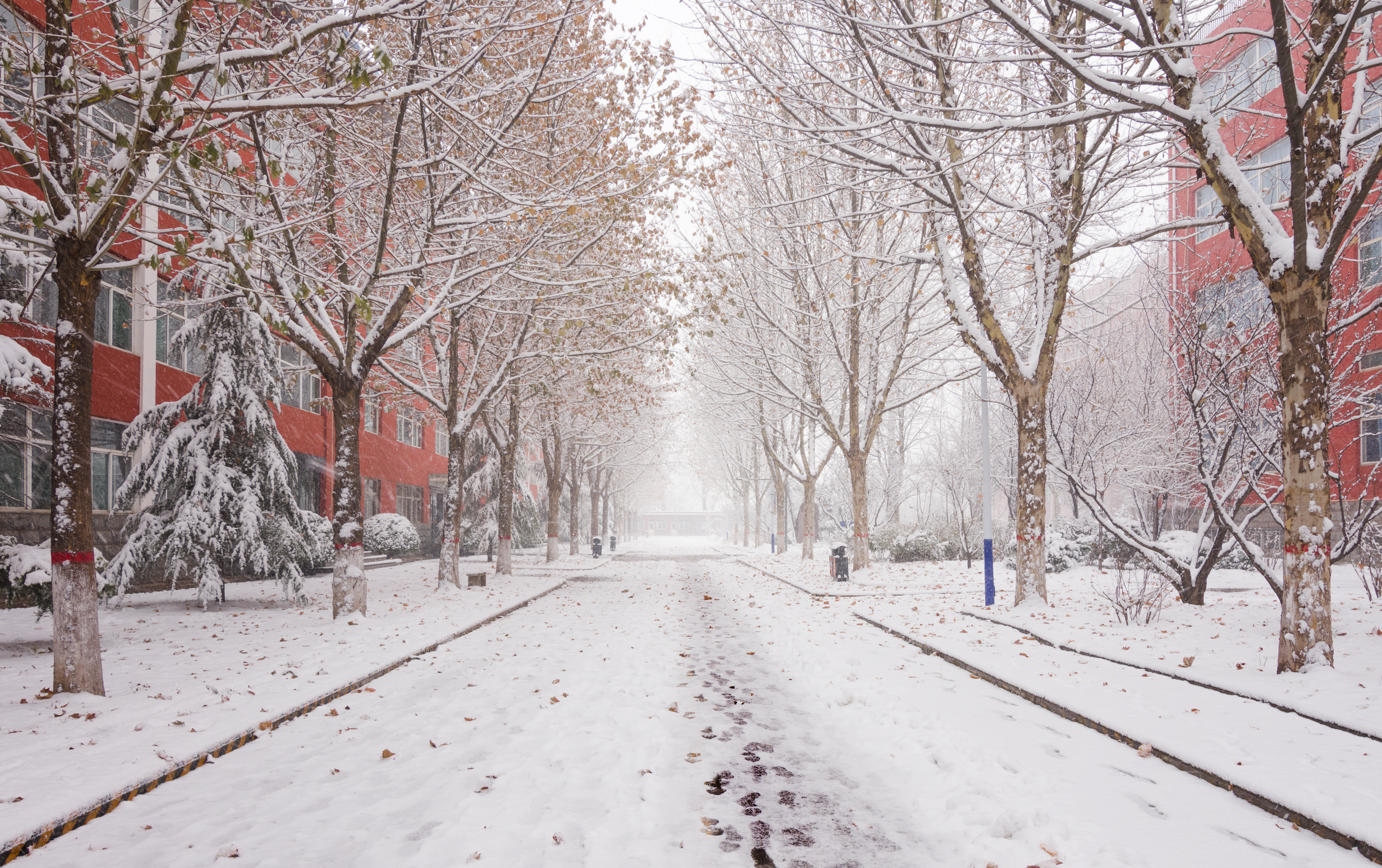 闀挎不浜虹溂涓殑灞辫タ,闀挎不浜虹溂涓殑澶師
