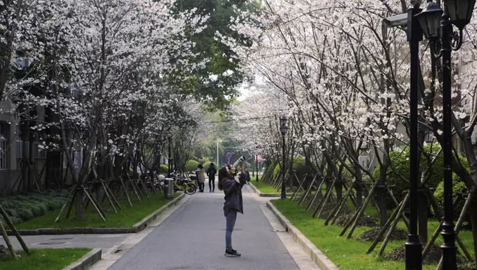 上财毕业生在上海的就业薪资,上财毕业上海薪水5万高吗