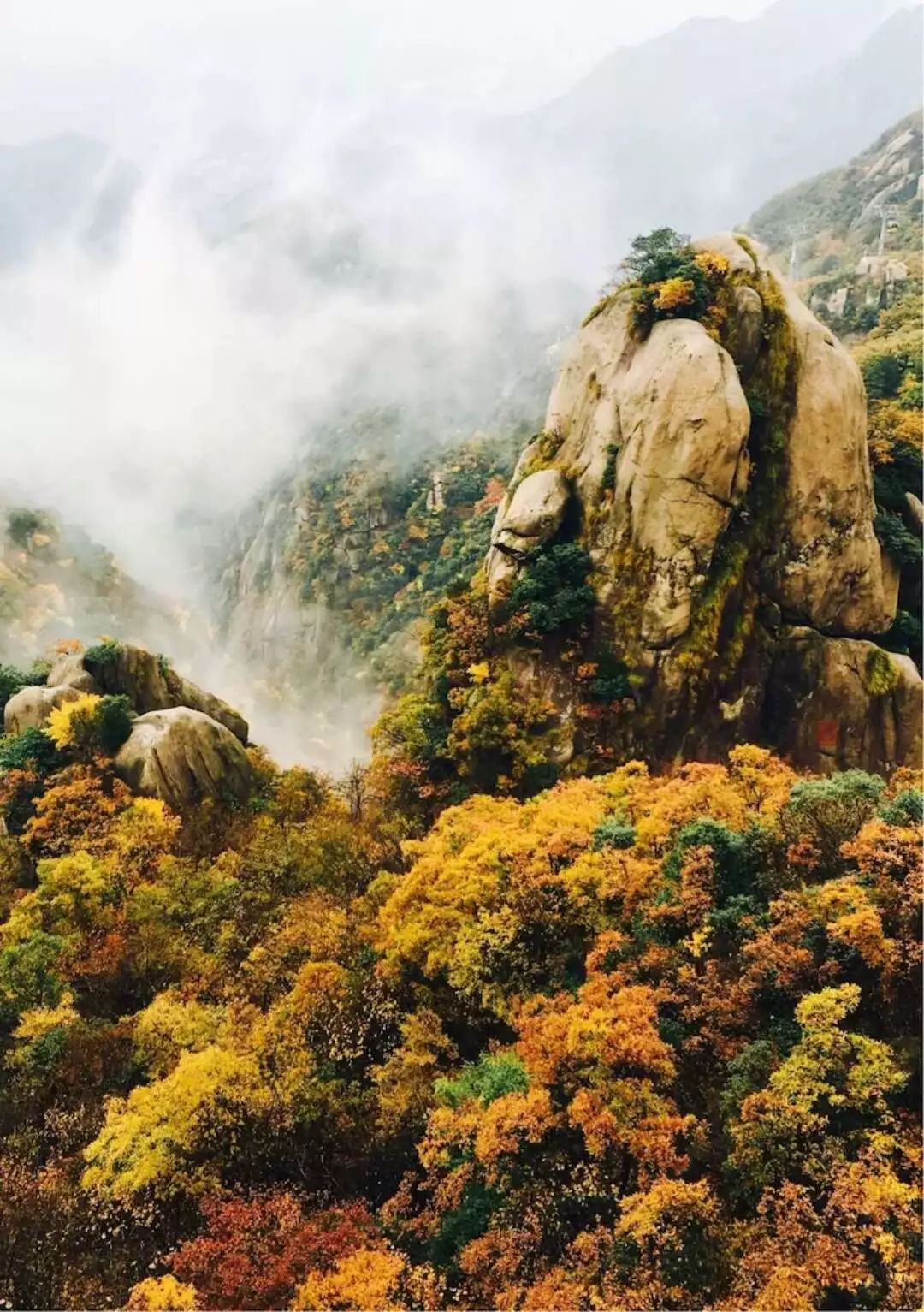 九华山下禅意,九华山禅隐民宿酒店