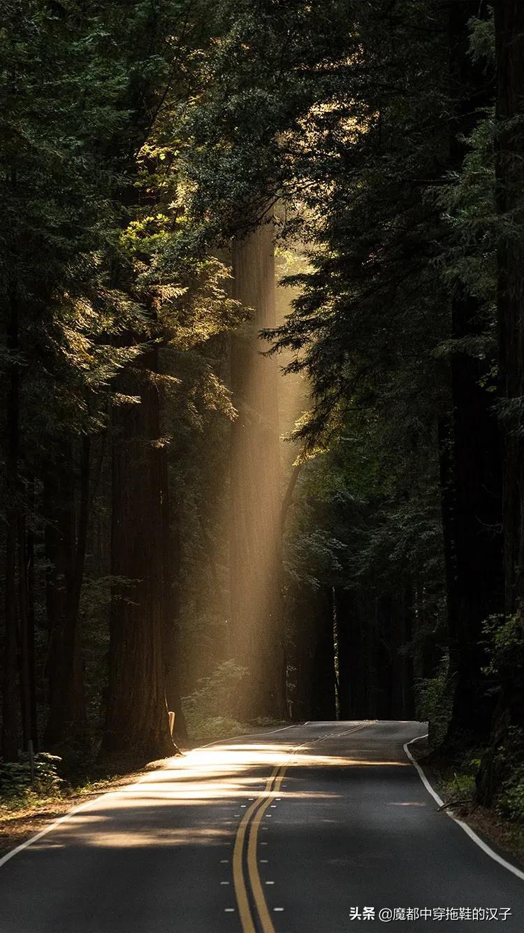 己所不欲勿施于人下一句,己所不欲勿施于人意思